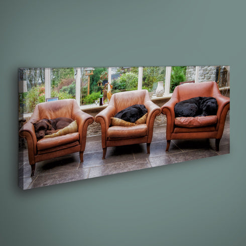 PANORAMIC - SORRY NO SEATING FOR ADULTS - 1.2m x 50cm